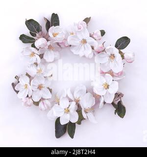 Delicate spring flower arrangement of large apple flowers. Stock Photo