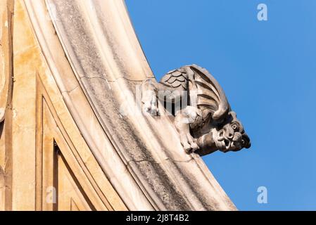 Gargoyle, animal detail on Westminster Abbey. Gothic abbey church in the City of Westminster, London, UK. Henry VII Chapel east end of the Abbey Stock Photo