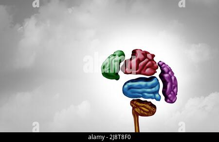 Brain disorders and mental illness or psychology and psychiatry concept as a human brain in broken pieces in a 3D illustration style. Stock Photo