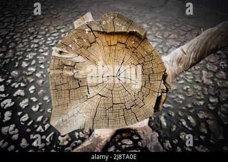 Aerial View of Tree Stump Stock Photo