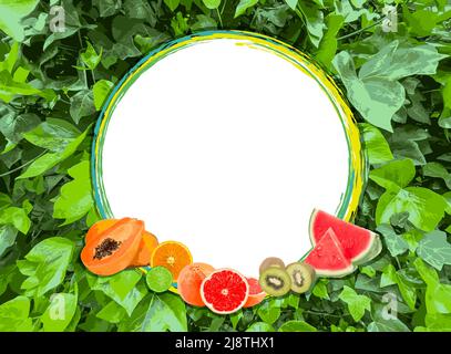 Border with tropical fruits and leaves for summer season - Stock illustration Stock Photo