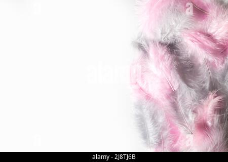Natural colored in pink and gray feathers with white copyspace background Stock Photo