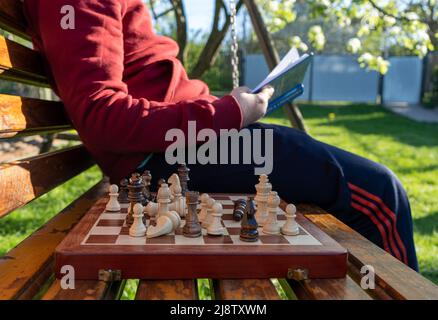 Wooden chess, a chess player is studying in the background, reading a book. Education concept, intellectual game, training, tournament Stock Photo