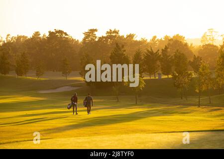 Multiracial young male friends with golf bags walking against clear sky and trees at golf course Stock Photo