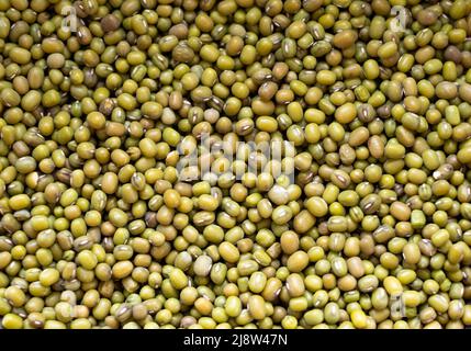 Background of mung beans. Vegan wallpaper. Banner Stock Photo