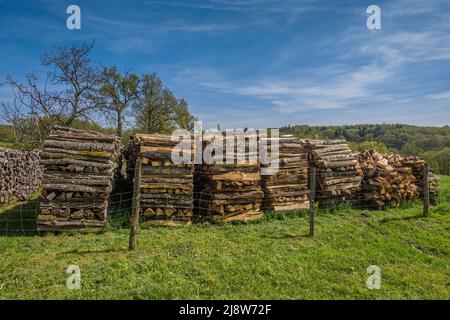 Cut and split Oak logs stacked as domestic heating fuel in the Creuse (23), central France. Stock Photo