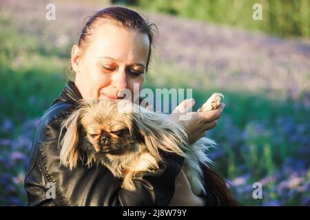 Young woman with her cute pekingese dog outdoors Stock Photo