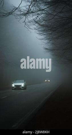 Foggy road through the forest in autumn in the evening Stock Photo