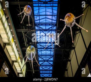 Aerobes suspended from the ceiling of the Tate Modern's Turbine Hall. Exhibit  by Anicka Yi commissioned by Hyundai Stock Photo