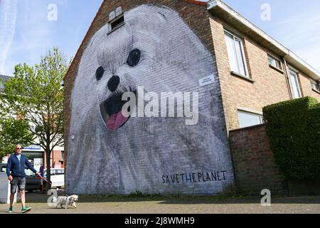 Ostend, Belgium. 18th May, 2022. A man walks a dog past a mural in Ostend, Belgium, on May 18, 2022. In recent years, artists used facades of Ostend buildings as their canvas and created many murals as street artworks. Credit: Zheng Huansong/Xinhua/Alamy Live News Stock Photo