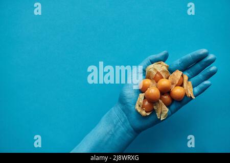 Directly above view of male hand painted in blue holding cape gooseberries against turquoise background