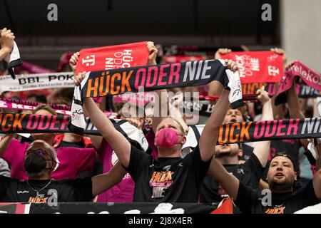 Bonn, Deutschland. 13th May, 2022. The fans of the Telekom Baskets Bonn with the motto Hueck or Never to the playoffs. 100:98 after extra time, basketball 1.Bundesliga/Telekom Baskets Bonn-Hamburg Towers/1. Quarter-final playoff, in the TELEKOMDOME, on May 13, 2022 Credit: dpa/Alamy Live News Stock Photo