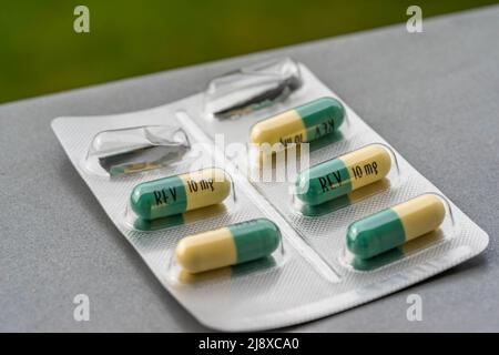 Burgundy ribbon in lady hands, multiple myeloma syndrome awareness,  healthcare Stock Photo