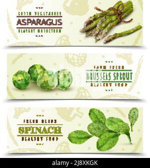 Farm fresh green leafy vegetables 3 realistic horizontal banners set with spinach asparagus brussels sprouts vector illustration Stock Vector