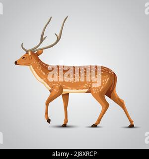 full size deer drawing. vector illustration design Stock Vector
