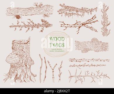 Watercolor Wooden Sticks Set Hand Drawn Tree Branches Isolated On White  Bare Twigs Decoration Wood Trunks Rustic Natural Design Stock Illustration  - Download Image Now - iStock