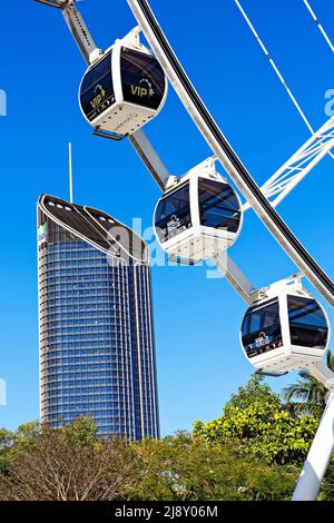 Brisbane Australia /  The Wheel of Brisbane and CBUS Building from South Bank Parklands. Stock Photo