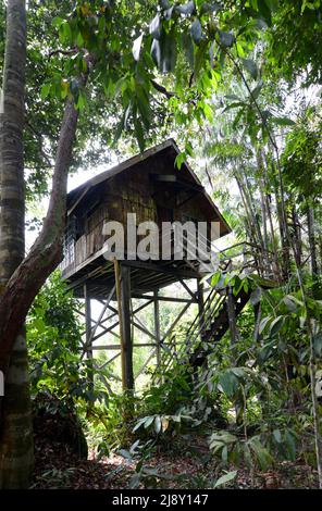 Permai Rainforest resort near Kuching, Sarawak, Malaysia. Stock Photo