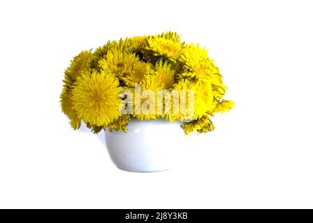 Yellow dandelion flowers in pot isolated on white Stock Photo