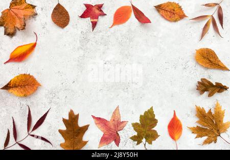 Fall background border with a variety of vibrant dried fall leaves on grey stone with lots of copy space. Top view. Stock Photo