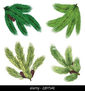Green branches of coniferous trees collection with cones in realistic style isolated vector illustration Stock Vector