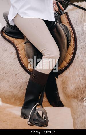 Close-up of a rider's legs in stirrups. A woman on a horse. Stock Photo