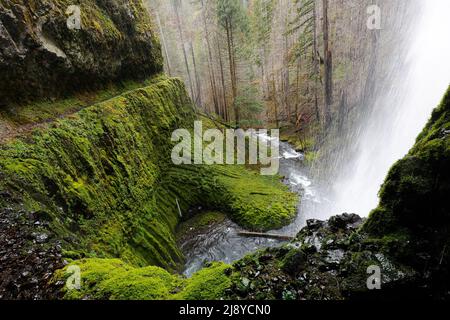 Eagle Creek Trail behind Tunnel Falls in the Columbia River Gorge National Scenic Area, Oregon, May 3, 2022. Stock Photo