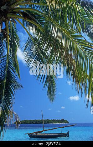 Traditional fishing boat, called Dhoni in the lagoon of a maldivian island, Maldives, Indian ocean, Asia Stock Photo