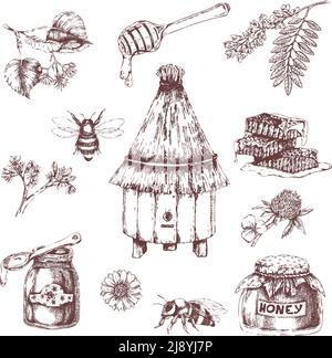 Honey elements hand drawn set with bees and hive combs branches of trees herbs isolated vector illustration Stock Vector