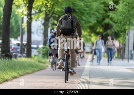 rear view of a cyclist on a bike path in avenue Stock Photo