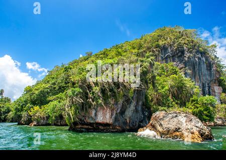 Rainforest, Mangroves. Ecotourism. Los Haitises National Park, Sabana de La Mar, Dominican Republic.  Los Haitises National Park is a national park lo Stock Photo