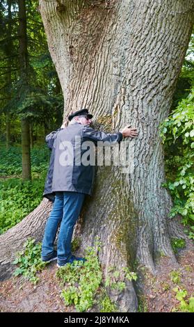 Elderly man hugging a giant oak tree in an old wood in Oldenburg, Germany (Eversten Holz). The history of this wood goes back to the 12th century Stock Photo