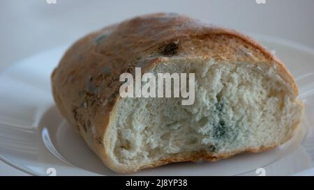 Close up piece of bread covered with mold. Damaged bread with fungus. Spoiled food concept. Stock Photo