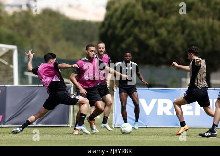 2022-05-19 12:29:07 LAGOS - (lr) Alireza Jahanbakhsh, Cyriel Dessers, Jorrit Hendrix, Tyrell Malacia, Orkun Kokcu in action during a Feyenoord training camp in Lagos. The team from Rotterdam is preparing in Portugal for the final of the UEFA Conference League against AS Roma in Tirana. KOEN VAN WEEL netherlands out - belgium out Stock Photo