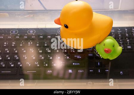 Waterproof underwater keyboard. Floating toy ducks in water.