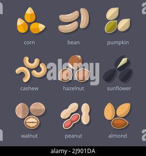 Nuts and seeds icon set. Almond and walnut, peanut and pumpkin, corn and bean. Vector illustration Stock Vector