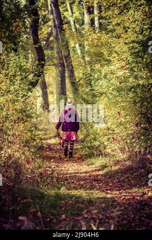 little child back view in scenic autumnal forest walking