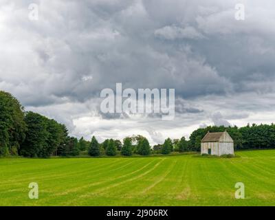An Old well preserved white washed Doocot or Dovecote situated in a field of newly sown wheat with a mixed woodland behind and dark clouds above. Stock Photo