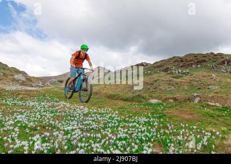 A young mountain biker rides down a mountain meadow in spring among flowers Stock Photo