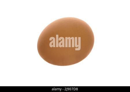 Image of a single chicken egg on a white background Stock Photo