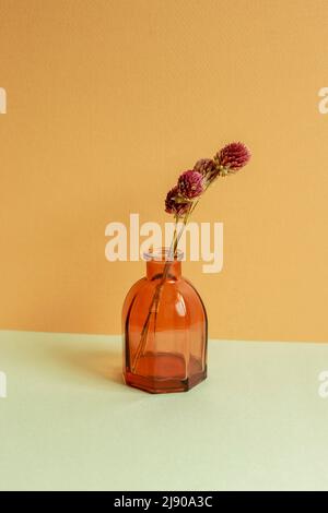 Vase of purple dry flowers on table. orange background. home interior Stock Photo