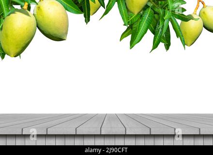 A mango tropical fruits hanging from a tree on a farm in white with an empty wooden table. Stock Photo