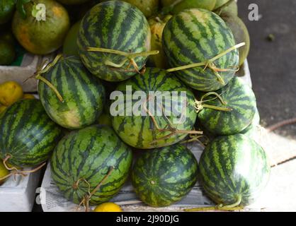 Many watermelons on the vietnamese market in Nha Trang Stock Photo