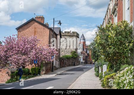 The image is of colourful street scenes of Shrewsbury with their  pleasant Georgian style buildings looking towards the medieval Town Walls Tower Stock Photo