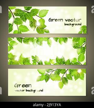 Green leaves banners set design vector templates Stock Vector Image ...