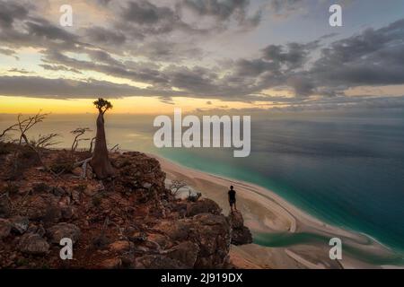 Bottle Tree on a Mountain Site in Socotra, Yemen, taken in November 2021, post processed using exposure bracketing Stock Photo