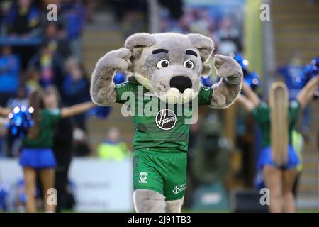 Warrington, UK. 19th May, 2022. Warrington Wolves mascot Wolfie presents the new Magic Weekend kit during half time in Warrington, United Kingdom on 5/19/2022. (Photo by James Heaton/News Images/Sipa USA) Credit: Sipa USA/Alamy Live News Stock Photo