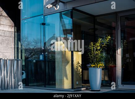 Flowerpot with plants and flowers at the entrance to the house with a glass facade Stock Photo
