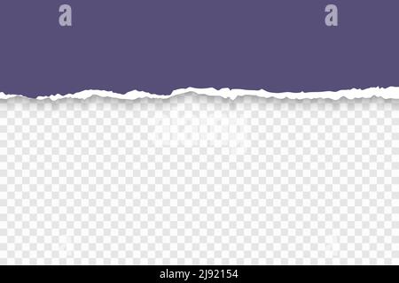 Torn piece of sheet violet paper from the bottom vector realistic template paper design. Stock Vector