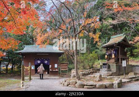 kyushu, japan - december 08 2021: Shichifuku Jinja shrine part of one of the eight Okunomiya Hassha shrines in Miyajidake Shrine overlooked by autumn Stock Photo